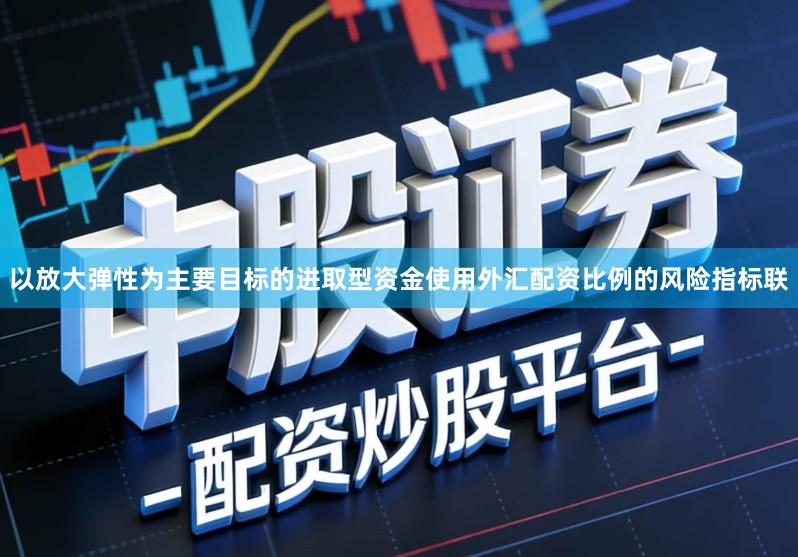 以放大弹性为主要目标的进取型资金使用外汇配资比例的风险指标联