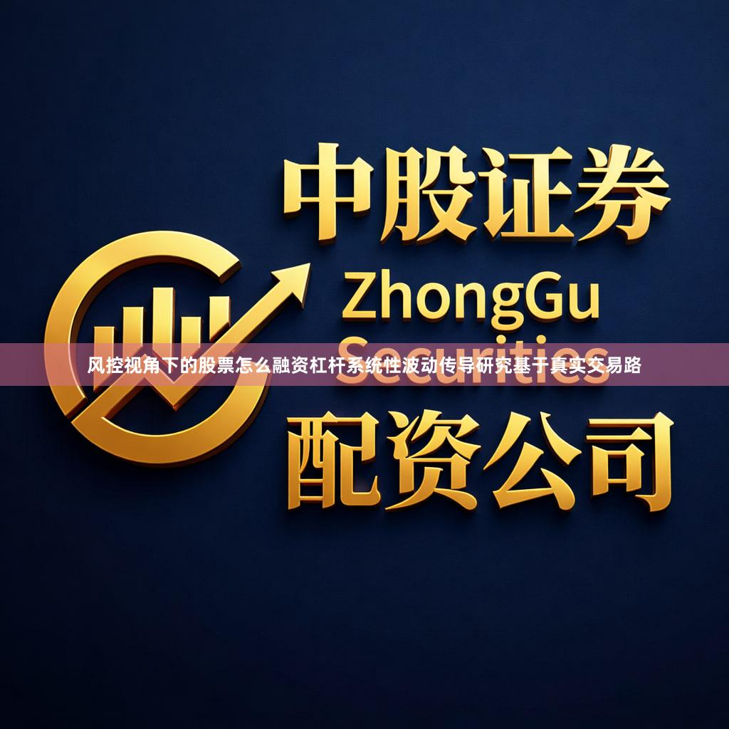 风控视角下的股票怎么融资杠杆系统性波动传导研究基于真实交易路