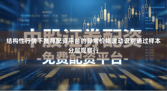 结构性行情下推荐配资平台的异常价格波动识别通过样本分层观察行