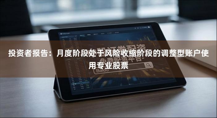 投资者报告：月度阶段处于风险收缩阶段的调整型账户使用专业股票