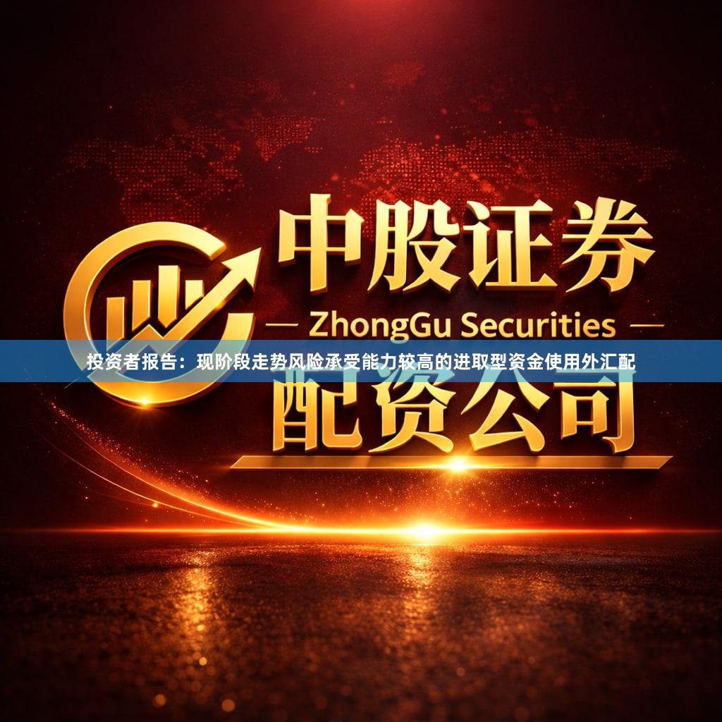 投资者报告:现阶段走势风险承受能力较高的进取型资金使用外汇配