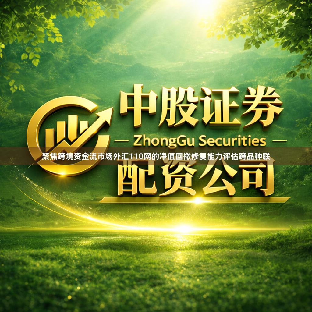聚焦跨境资金流市场外汇110网的净值回撤修复能力评估跨品种联