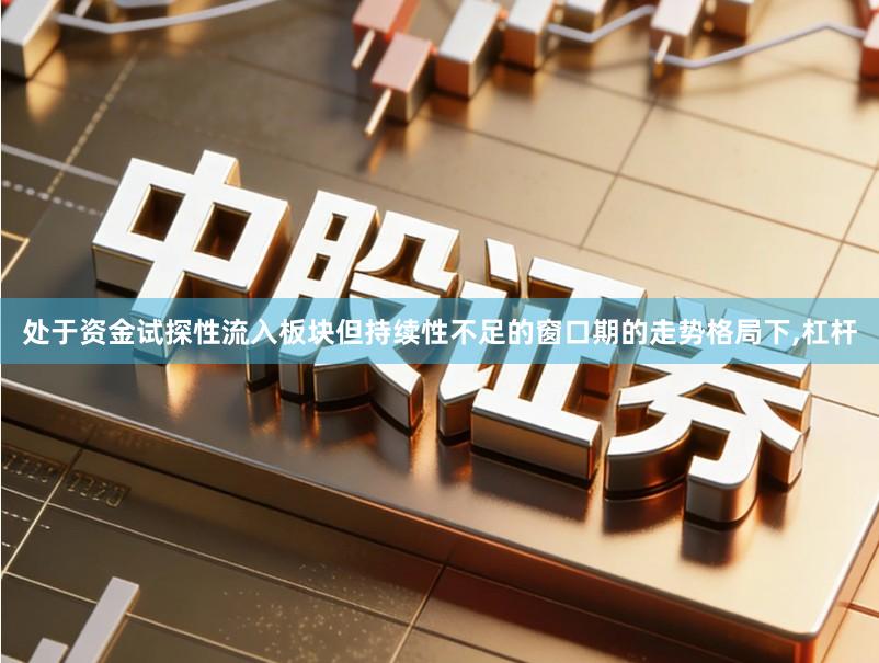 处于资金试探性流入板块但持续性不足的窗口期的走势格局下,杠杆