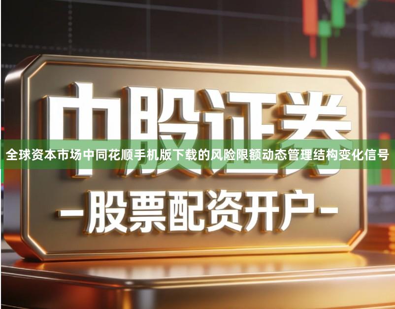 全球资本市场中同花顺手机版下载的风险限额动态管理结构变化信号