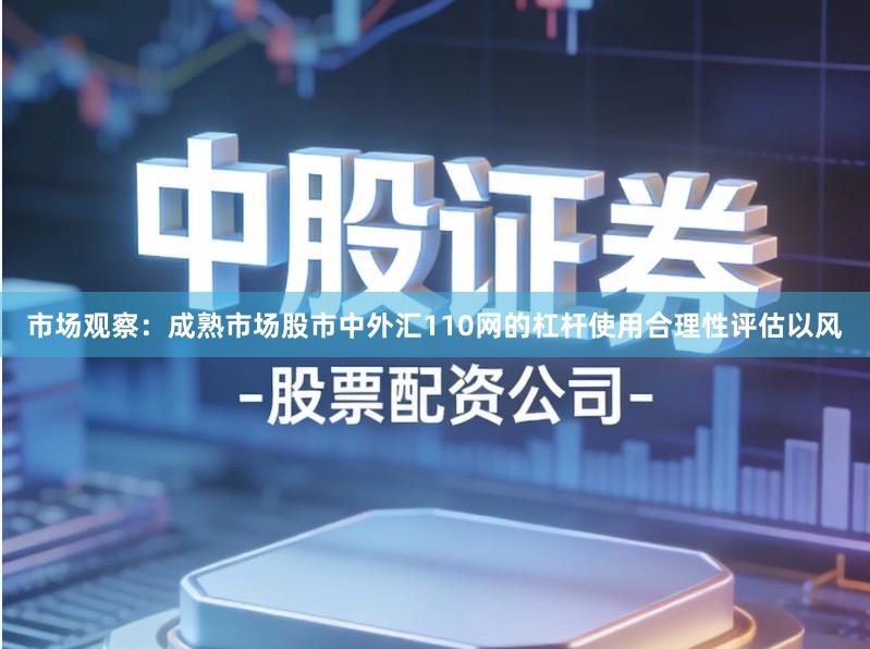 市场观察：成熟市场股市中外汇110网的杠杆使用合理性评估以风