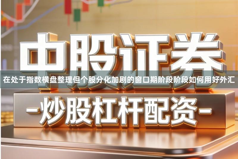 在处于指数横盘整理但个股分化加剧的窗口期阶段阶段如何用好外汇