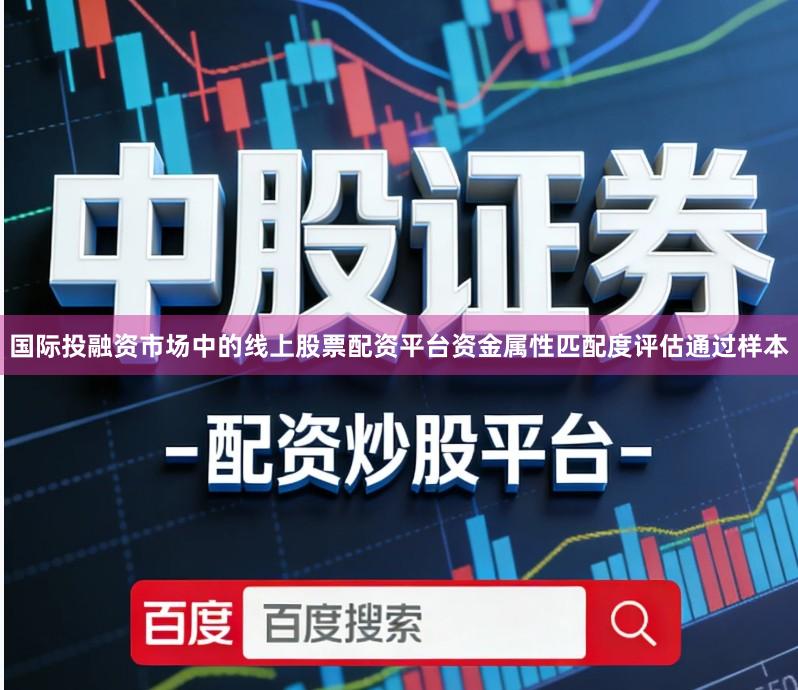 国际投融资市场中的线上股票配资平台资金属性匹配度评估通过样本