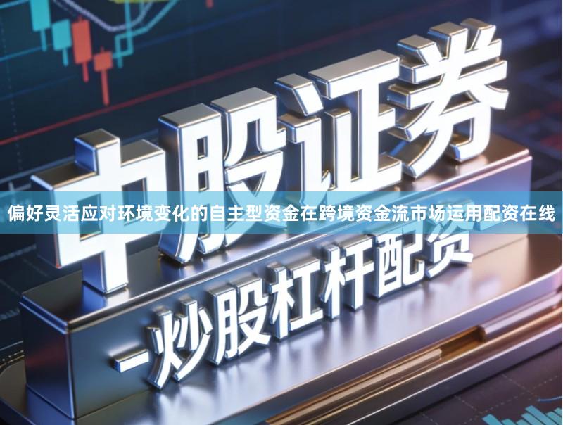 偏好灵活应对环境变化的自主型资金在跨境资金流市场运用配资在线